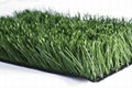 Synthetic Grass 1