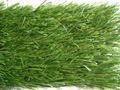 Synthetic Grass 2