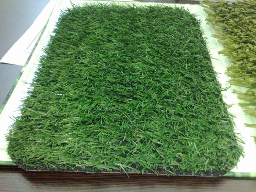 Synthetic Grass 4