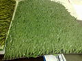 Synthetic Grass 5