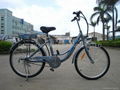 36V 250W 24 inch electric bicycle 3