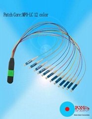 MPO to LC 12 color Fiber optic patch
