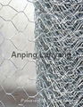 hexagonal wire mesh 1