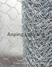 hexagonal wire mesh