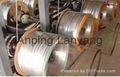 Galvanized Wire 1