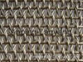 Decorative Wire Mesh 1