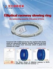 Eliptical Raceway Slewing Ring