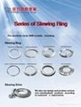 slewing ring 1