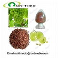 Grape Seed Extract with Polyphenol 80% and Proanthocyanidin 95% 1