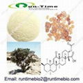 Boswellia Serrate Extract with Boswellic