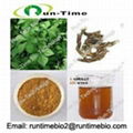 Siberian ginseng extract with Eleutheroside B+E 0.8% to 1% 1