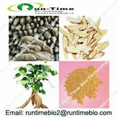 Pueraria extract with puerarin 40%