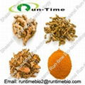 Turmeric extract with curcumine extract