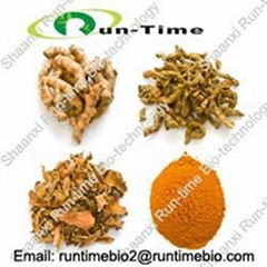 Turmeric extract with curcumine extract 95%