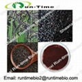 Black Rice Extract with Anthocyanins 25%