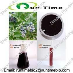 Bilberry extract with anthocyanidins 25%