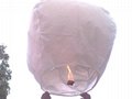 Biodegradable paper sky lantern, flying UFO balloon,  2