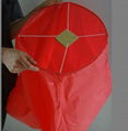 Wishinglucky sky lanterns,floating/glowing paper sky lanterns 1