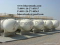 Ammonia Plant  1