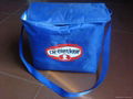 cooler bag 1