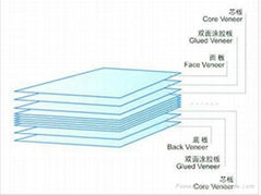 仿實木地板乾燥設備經銷商