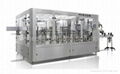 CGF32-24-8 water bottling plant