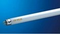 T5 high output fluorescent tube