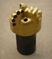 PDC Fixed Cutter Bits  1