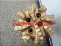 PDC Fixed Cutter Bits  3