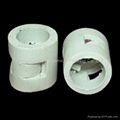 ceramic pall ring tower packing