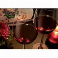 Colored Wine Glass  4