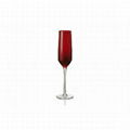 Colored Wine Glass  5
