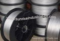 Titanium wire