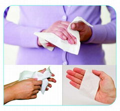 Disposable Skin Towel