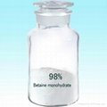 Betaine Monohydrate