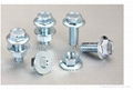 Flange Bolts and Nuts 1