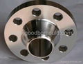 High Quality Flange/Welding Neck Flange (Made in China)