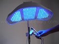 2012 hot wrinkle removal pdt therapy led light 5