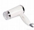 Travel Hair Dryer RH-5810