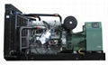 Diesel generator set(TP700) 1