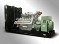 Diesel generator set(TP2250) 1