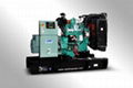 Diesel generating set(TC44X)