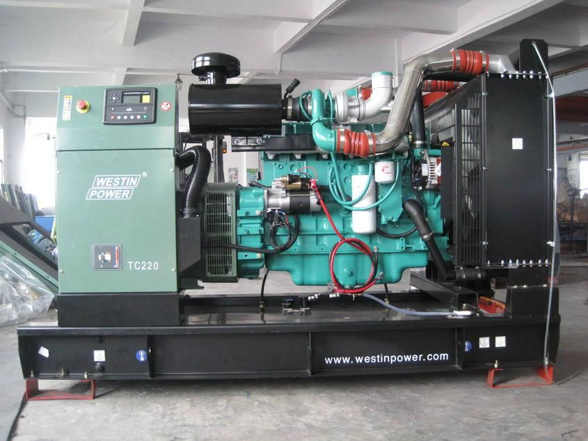 Diesel generating set(TC220)