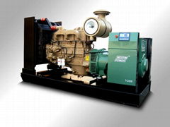 Diesel generating set(TC450)
