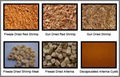 Brine shrimp pet fish feed 1