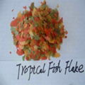 Tropical fish flakes