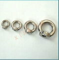 stainless steel ring nut DIN582 1