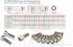 Titanium Socket Head Cap Screw