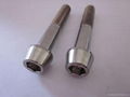 Titanium Socket Head Cap Screw 5