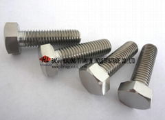 Titanium Bolt